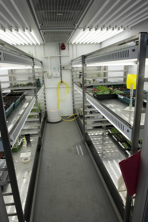 Plant Growth Rooms