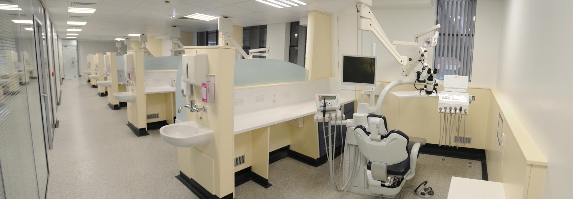 Dental Translational and Clinical Research Unit