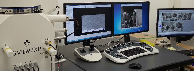 Electron Microscopy Research Services